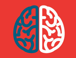   A brain