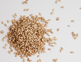 A pile of sesame seeds.